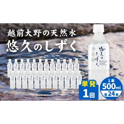 【1回分配送】越前大野の天然水　悠久のしずく PET500ml × 24本