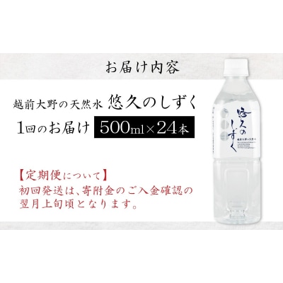【1回分配送】越前大野の天然水　悠久のしずく PET500ml × 24本