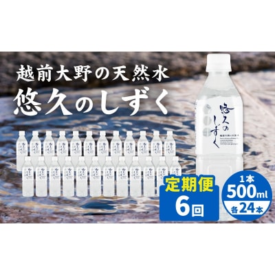 【6ヶ月連続お届け】越前大野の天然水　悠久のしずく PET500ml × 24本×6回配送　計144
