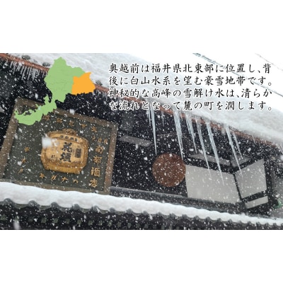 【6ヶ月連続お届け】越前大野の天然水　悠久のしずく PET500ml × 24本×6回配送　計144