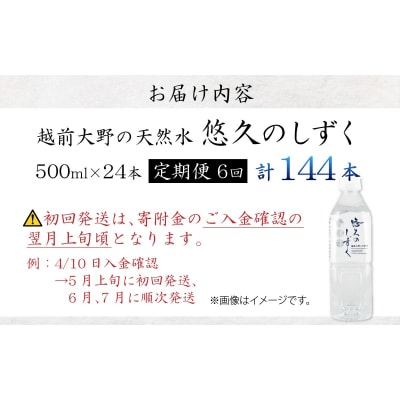 【6ヶ月連続お届け】越前大野の天然水　悠久のしずく PET500ml × 24本×6回配送　計144