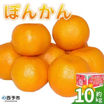 <ぽんかん 約10kg> 果物 フルーツ みかん ミカン 蜜柑 オレンジ 柑橘 椪柑