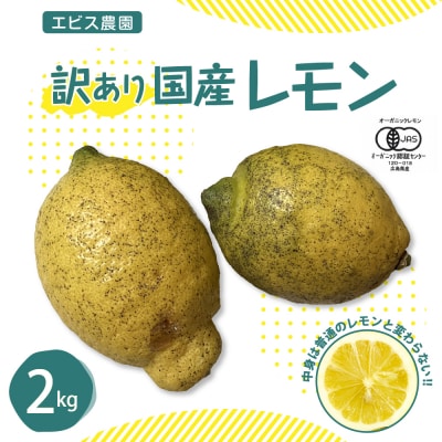 【2025年12月上旬～発送】【訳あり】希少国産オーガニックレモン2.0kgku026-004-25