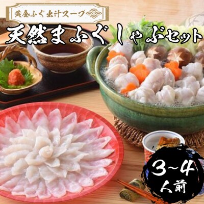 【 先行受付 】 ふぐ 天然まふぐ しゃぶしゃぶセット 3～4人前 冷凍 下関 山口 IF004-x