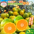 峰農園のゆたたりみかん【ゆら】小玉 5kg　LB5