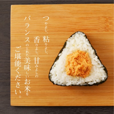 【3ヶ月定期便】コシヒカリ 精米 5kg_S050-T03A
