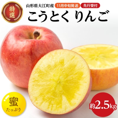 《先行受付》特選こうとくりんご約2.5kg 【2025年11月中旬頃～発送予定】028-024