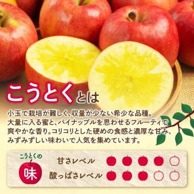 《先行受付》特選こうとくりんご約2.5kg 【2025年11月中旬頃～発送予定】028-024