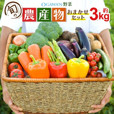 OGAWA'N野菜セット 旬の農産物おまかせセット 約3kg