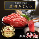 【高知県大月町産 本マグロ】 赤身300g