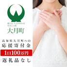 高知県大月町への応援寄付金100万円　【返礼品なし】