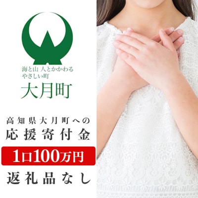 高知県大月町への応援寄付金100万円　【返礼品なし】