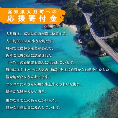 高知県大月町への応援寄付金100万円　【返礼品なし】