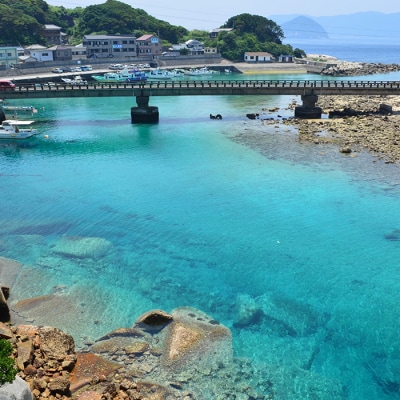 大月町の味覚を味わえるお弁当付き♪1日レンタサイクル乗り放題ペアチケット
