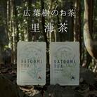 【高知県 大月町産】広葉樹のお茶“里海茶”