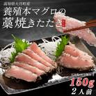 養殖本マグロの藁焼きたたき　大トロ