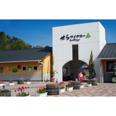 【世羅町産ブドウの日本ワイン】せらワインハーフボトル2本セット