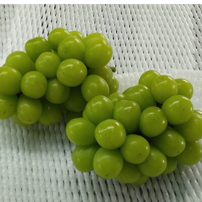 シャインマスカット2房(1kg)