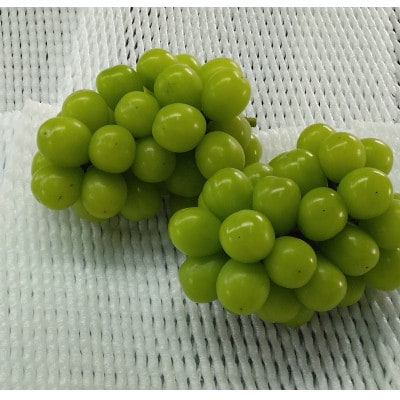 シャインマスカット4～5房(2kg)