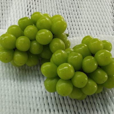 シャインマスカット4～5房(2kg)