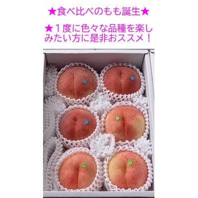 【カナダ人農園主の真心を込めた】新鮮な”朝採り” 桃の食べ比べセット約2kg