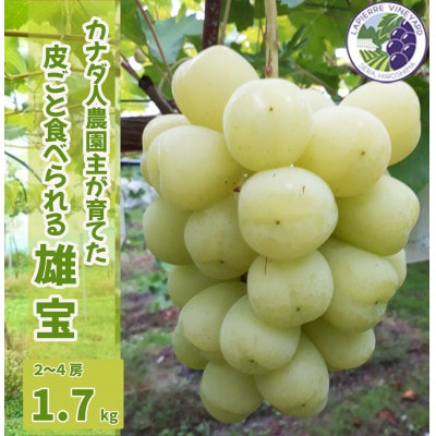 【カナダ人農園主の真心を込めた】皮ごと食べられる雄宝　約1.7kg(数量限定)