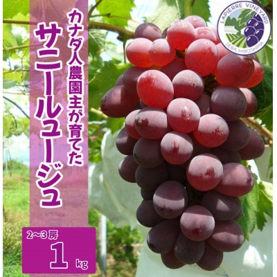 【カナダ人農園主の真心を込めた】サニールージュ約1kg