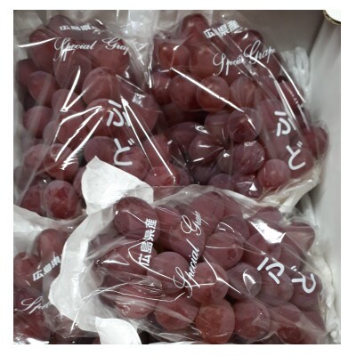 【カナダ人農園主の真心を込めた】サニールージュ約1kg