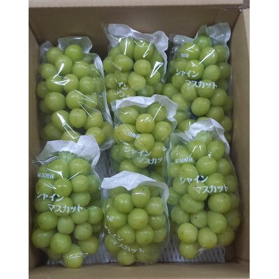 【カナダ人農園主の真心を込めた】シャインマスカット約5kg