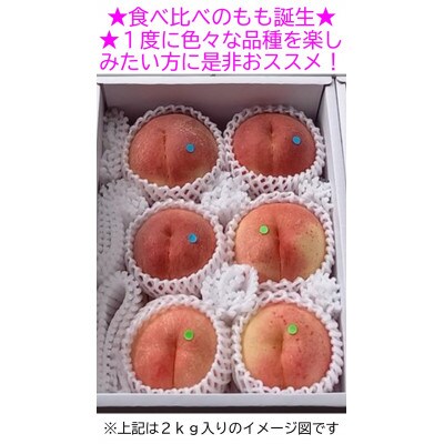 【カナダ人農園主の真心を込めた】新鮮な”朝採り” 桃の食べ比べセット約3kg