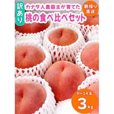 【カナダ人農園主の真心を込めた】【訳あり】”朝採れ新鮮”ももの食べ比べセット約3kg(9～14玉)