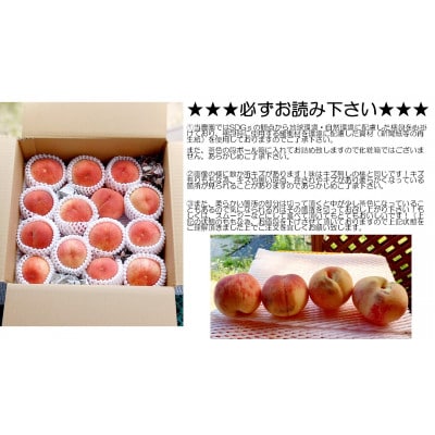 【カナダ人農園主の真心を込めた】【訳あり】”朝採れ新鮮”ももの食べ比べセット約3kg(9～14玉)