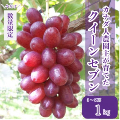 【カナダ人農園主の真心を込めた】皮ごと食べられるクイーンセブン　約1kg