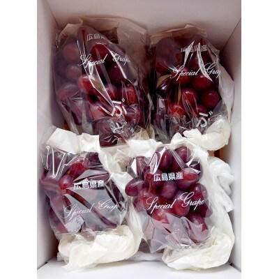 【カナダ人農園主の真心を込めた】皮ごと食べられるクイーンセブン　約1kg