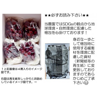 【カナダ人農園主の真心を込めた】皮ごと食べられるクイーンセブン　約1kg