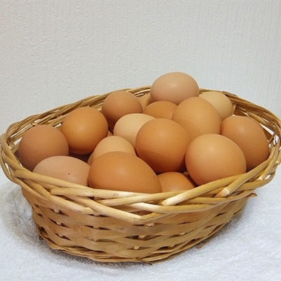 広島県世羅町産　ふみちゃん家のたまご　80個