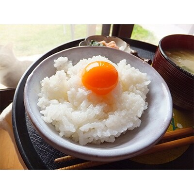 広島県世羅町産　ふみちゃん家のたまご　160個
