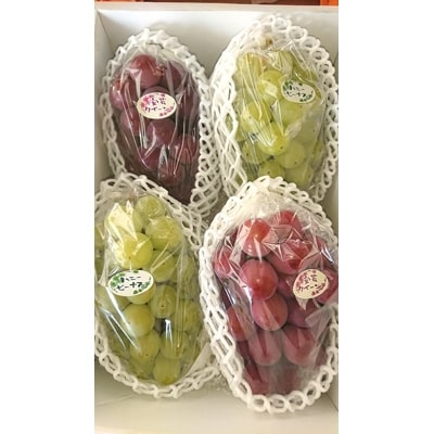 【数量限定】紅白セット　ハニービーナス&安芸クイーン約2kg