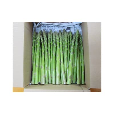 アスパラガス段ボール入り 野菜 グリーンアスパラ Jgap認証農場 広島県世羅町 お礼品詳細 ふるさと納税なら さとふる アスパラガス段ボール入り 野菜 グリーンアスパラ Jgap認証農場 広島県世羅町 お礼品詳細 ふるさと納税なら さとふる