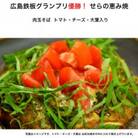 冷凍広島お好み焼き5箱【広島鉄板グランプリ優勝の世羅の恵み焼き】