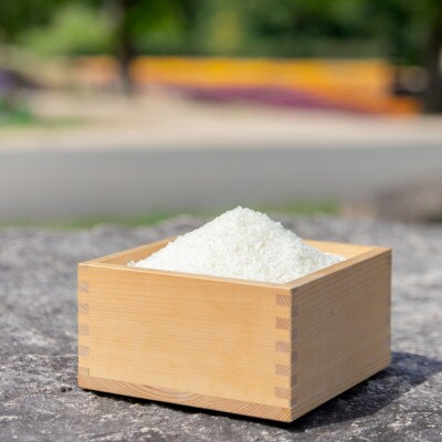 【令和6年産】コシヒカリ5kg　精米