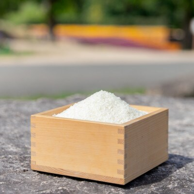 【令和6年産】コシヒカリ10kg　精米
