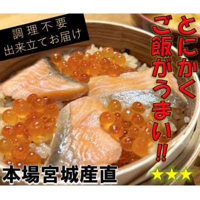 宮城 三陸 本場の味 極上鮭とイクラの味が凝縮 ご飯が旨い◎鐘崎の「はらこ飯」 レンジで簡単  6P