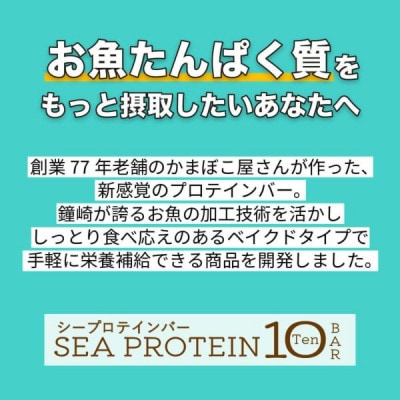 【毎月定期便】鐘崎　魚と大豆のWたんぱく質「シープロテイン10BAR(12本セット)」全4回