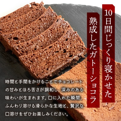 10日間熟成ガトーショコラ 250g 宮城県仙台市