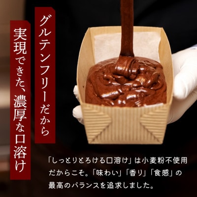 10日間熟成ガトーショコラ 250g 宮城県仙台市