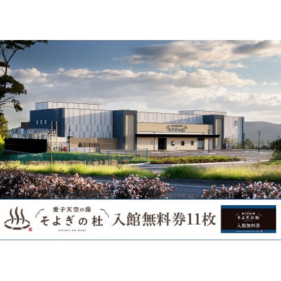 愛子天空の湯　そよぎの杜　入館無料券　11枚