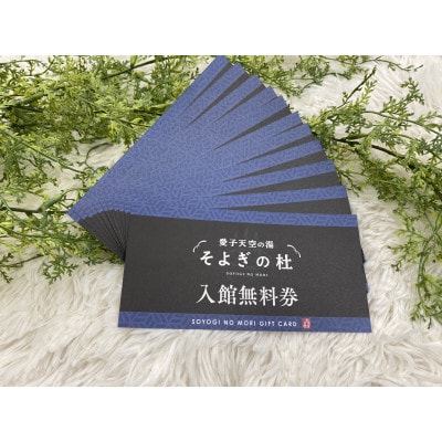 愛子天空の湯　そよぎの杜　入館無料券　11枚