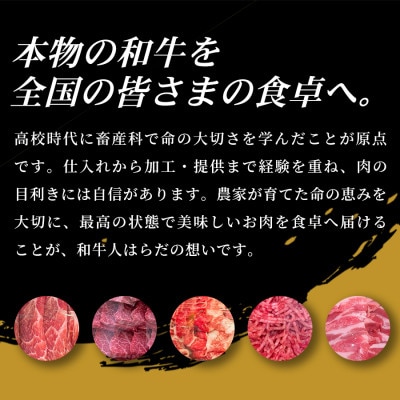 【口の中でとろける極上の味】仙台牛サーロインステーキ(200g×4枚)1セット