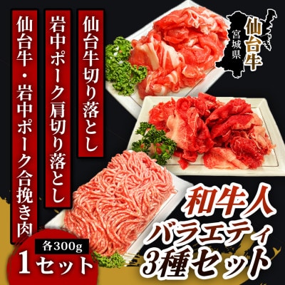 【ふるさと納税で届く銘柄】和牛人 バラエティ3種セット(各300g×1パック) 1セット